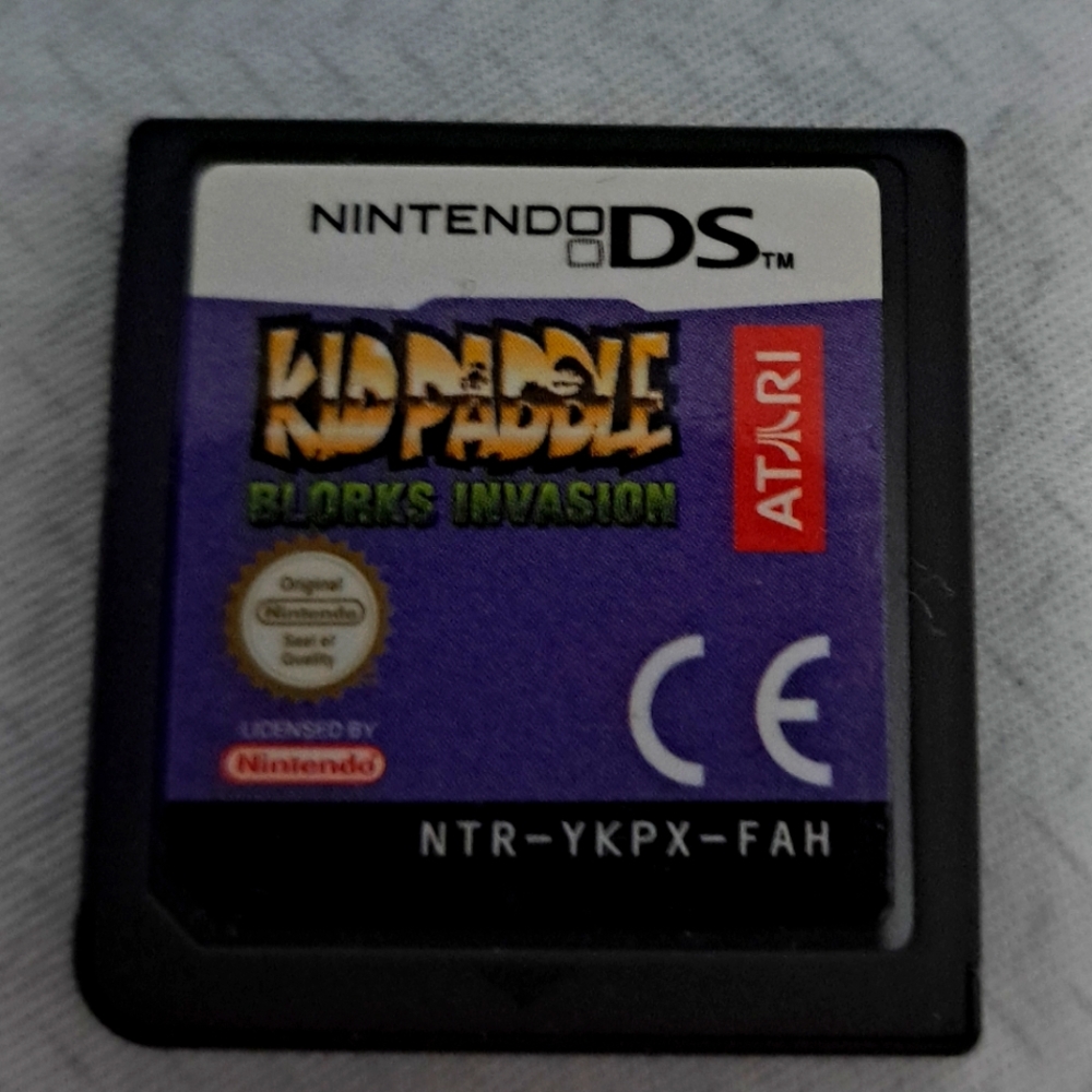 RARE Nintendo DS Kid Paddle game